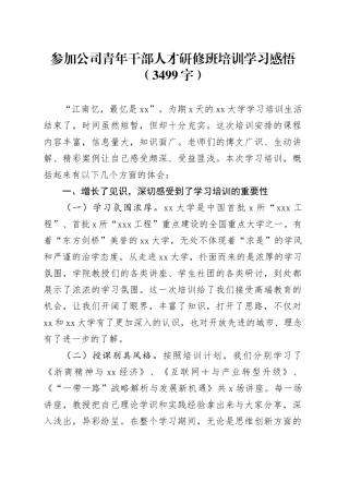 国企青年干部人才研修班培训学习感悟（3499字）