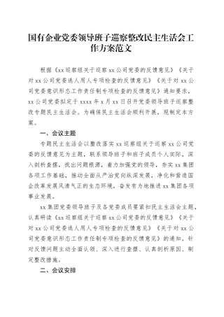 国有企业党委领导班子巡察整改民主生活会工作方案20240422