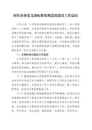 国有企业党支部标准化规范化建设工作总结