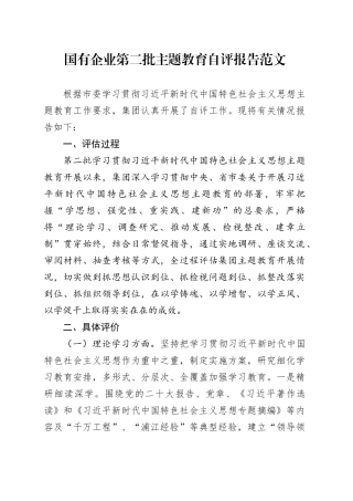 国有企业二批次主题教育自评报告（理论学习、调查研究、推动发展、检视整改、组织领导，公司工作汇报总结自查）20240226