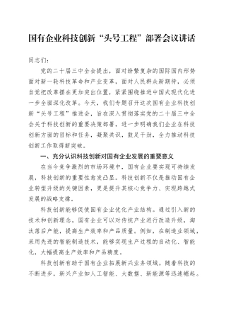 国有企业科技创新头号工程部署会议讲话公司20240920
