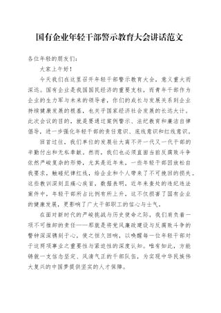 国有企业年轻干部警示教育大会讲话公司青年会议20240415