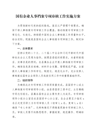 国有企业人事档案专项审核工作实施方案