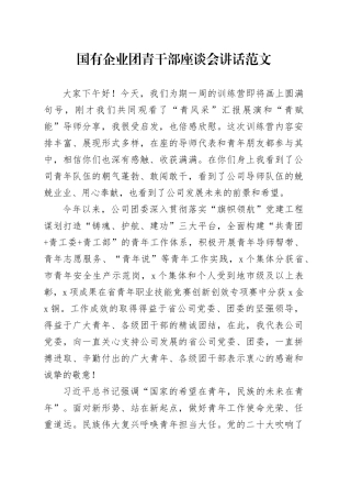 国有企业团青干部座谈会讲话公司共青团青年干部20240415