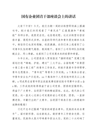国有企业团青干部座谈会上的讲话