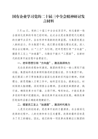 国有企业学习党的二十届三中全会精神研讨发言材料20240809