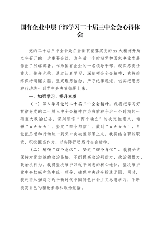 国有企业中层干部学习二十届三中全会心得体会