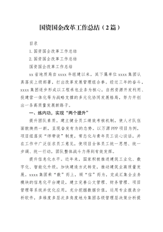 国资国企改革工作总结（2篇）