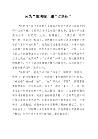 何为＂破四唯＂和＂立新标＂