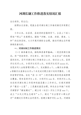 河湖长制工作推进落实情况汇报