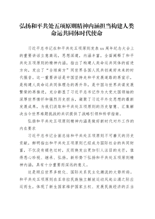 弘扬和平共处五项原则精神内涵担当构建人类命运共同体时代使命