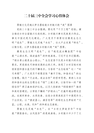 厚植文化灵魂 以梦为墨绘就乡村振兴绝“美”图景