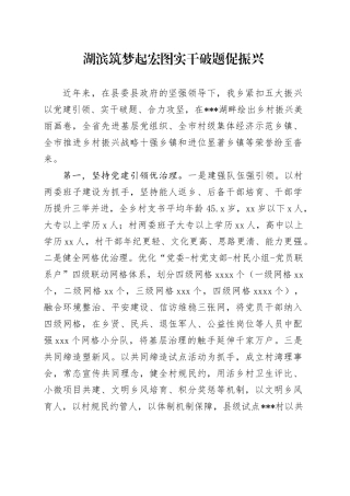 湖滨筑梦起宏图  实干破题促振兴