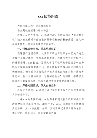 机关防范纠治“新形象工程”进展情况报告