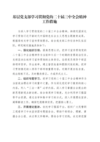基层党支部学习贯彻党的二十届三中全会精神工作措施