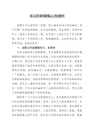 基层挂职锻炼心得感悟