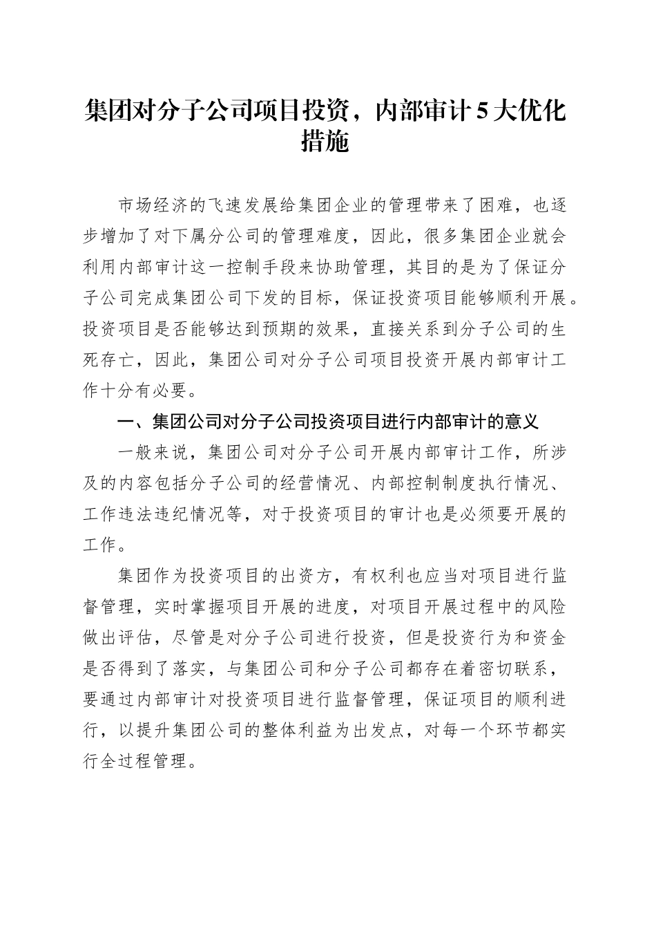 集团对分子公司项目投资，内部审计5大优化措施_第1页