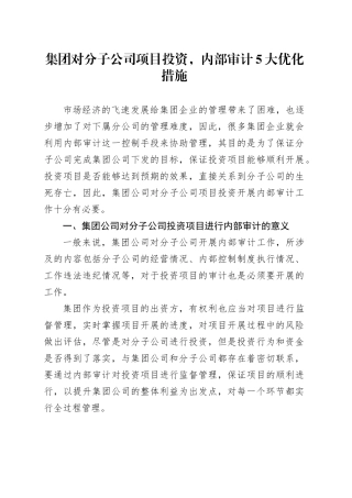 集团对分子公司项目投资，内部审计5大优化措施