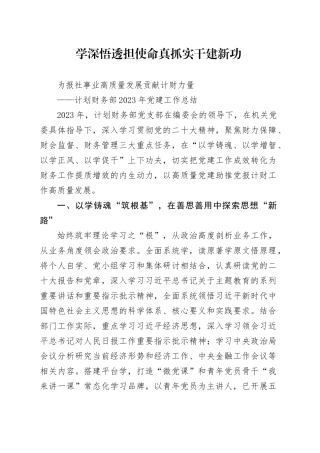 计划财务部2023年党建工作总结