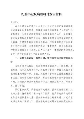 纪委书记反腐败研讨发言材料心得体会20240726