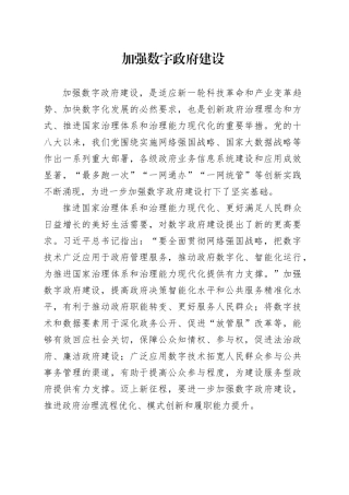 加强数字政府建设