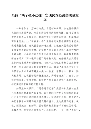 坚持“两个毫不动摇” 实现民营经济高质量发展