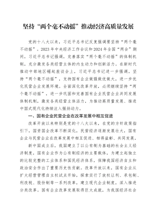 坚持“两个毫不动摇” 推动经济高质量发展