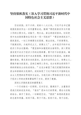 坚持狠抓落实（深入学习贯彻习近平新时代中国特色社会主义思想）
