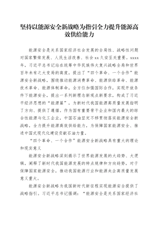 坚持以能源安全新战略为指引全力提升能源高效供给能力