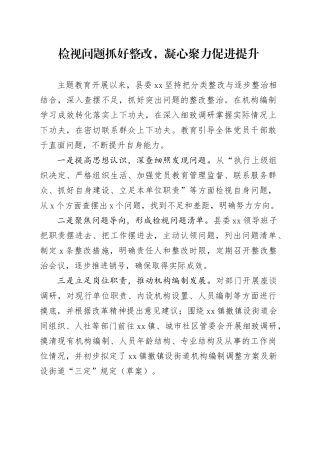 检视问题抓好整改，凝心聚力促进提升