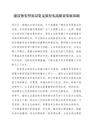 建设务实型基层党支部     夯实高质量发展基础