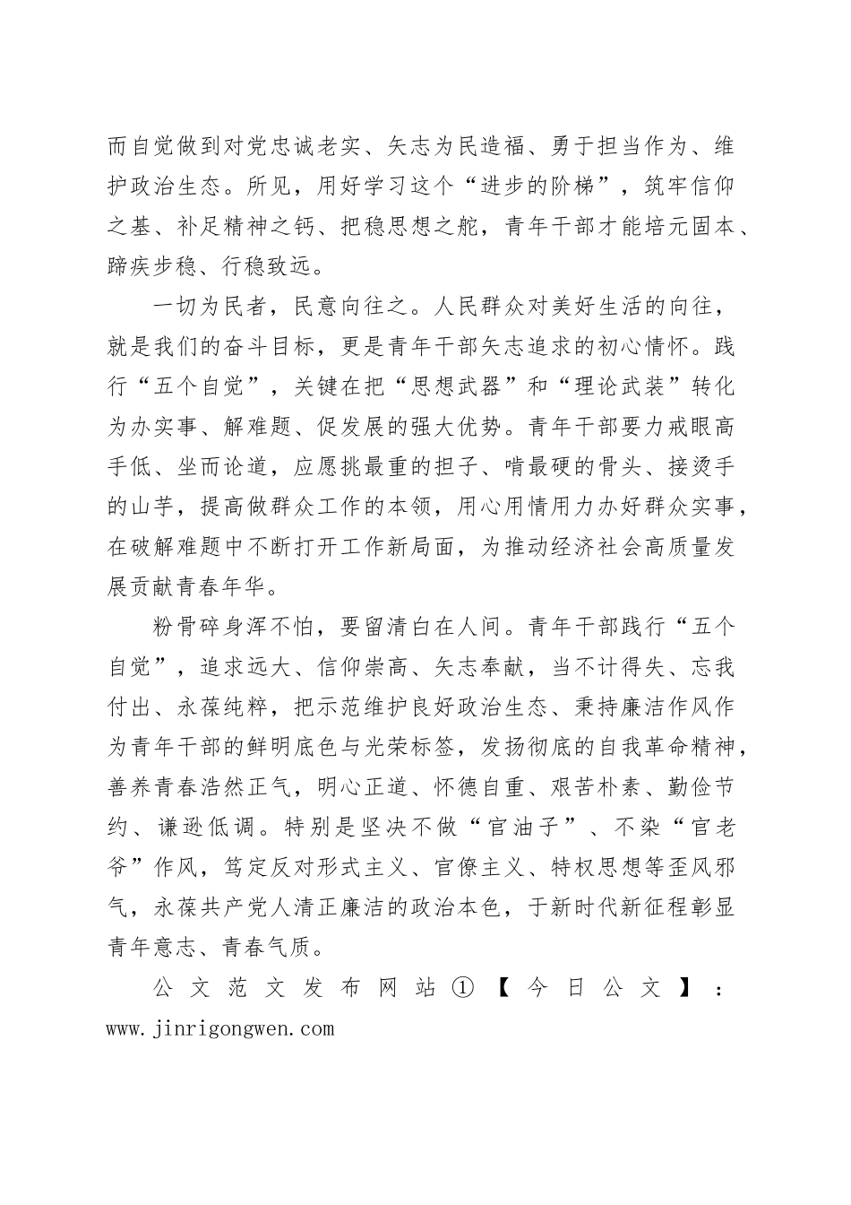 践行“五个自觉” 以青春芳华谱写时代新篇_第2页