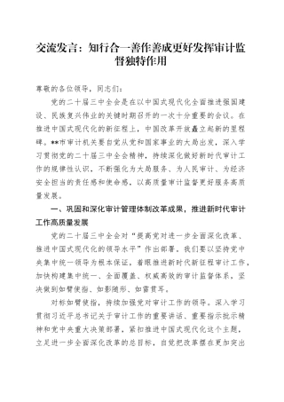 交流发言：知行合一 善作善成 更好发挥审计监督独特作用