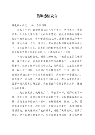 借调感悟发言