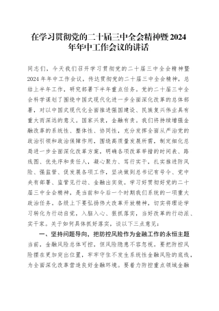 金融系统在学习贯彻二十届三中全会精神暨2024年年中工作会议的讲话