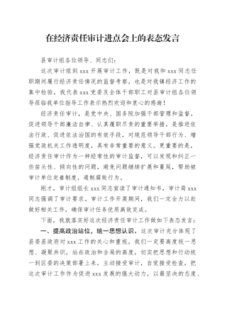 经济责任审计进点会上的发言