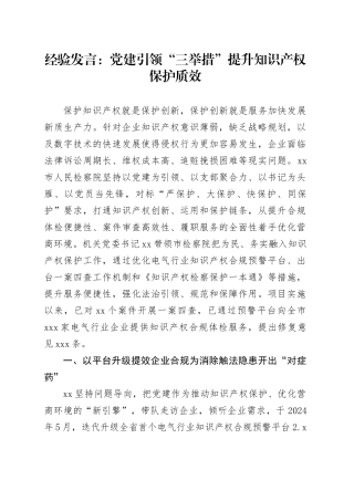 经验发言：党建引领“三举措”提升知识产权保护质效