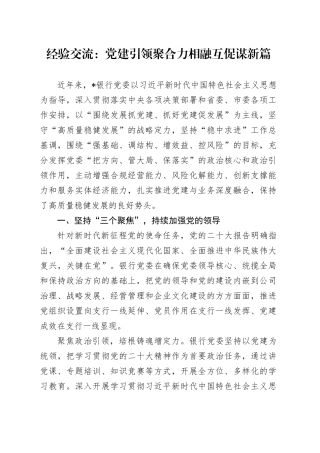 经验交流： 党建引领聚合力 相融互促谋新篇（发言）