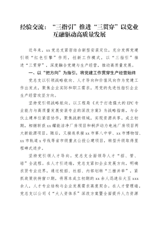 经验交流：“三指引”推进“三贯穿” 以党业互融驱动高质量发展（发言）