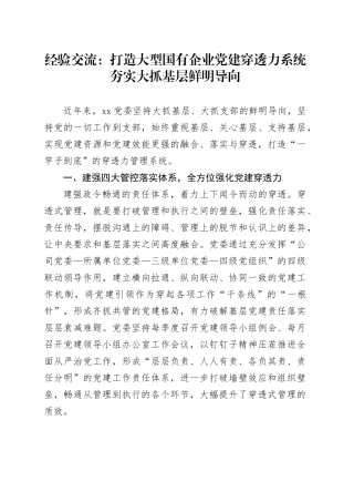 经验交流：打造大型国有企业党建穿透力系统 夯实大抓基层鲜明导向