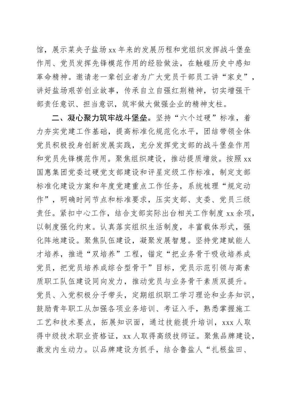 经验交流：党建引领风帆劲 擎旗奋进业绩新_第2页