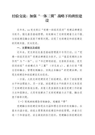 经验交流：加强“一体三翼”战略下的班组建设（发言）