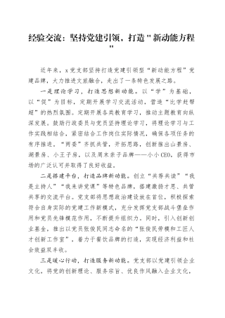 经验交流：坚持党建引领，打造＂新动能方程＂