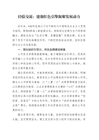 经验交流：建强红色引擎 凝聚发展动力