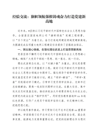 经验交流：旗帜领航 强根铸魂 奋力打造党建新高地