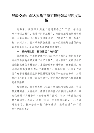经验交流：深入实施三项工程建强基层四支队伍