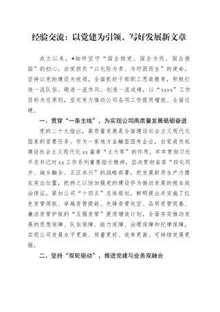 经验交流：以党建为引领，写好发展新文章（发言）
