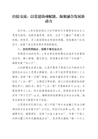 经验交流：以党建铸魂赋能，凝聚融合发展新动力
