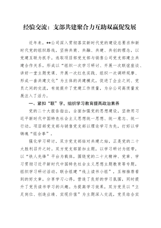 经验交流：支部共建聚合力 互助双赢促发展
