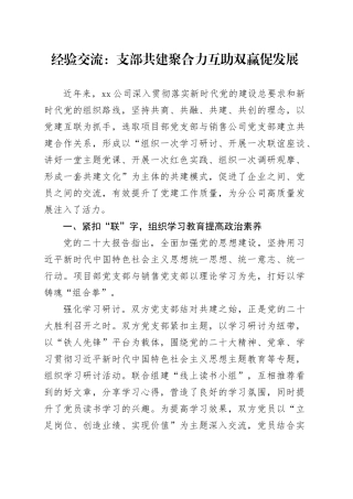经验交流：支部共建聚合力互助双赢促发展